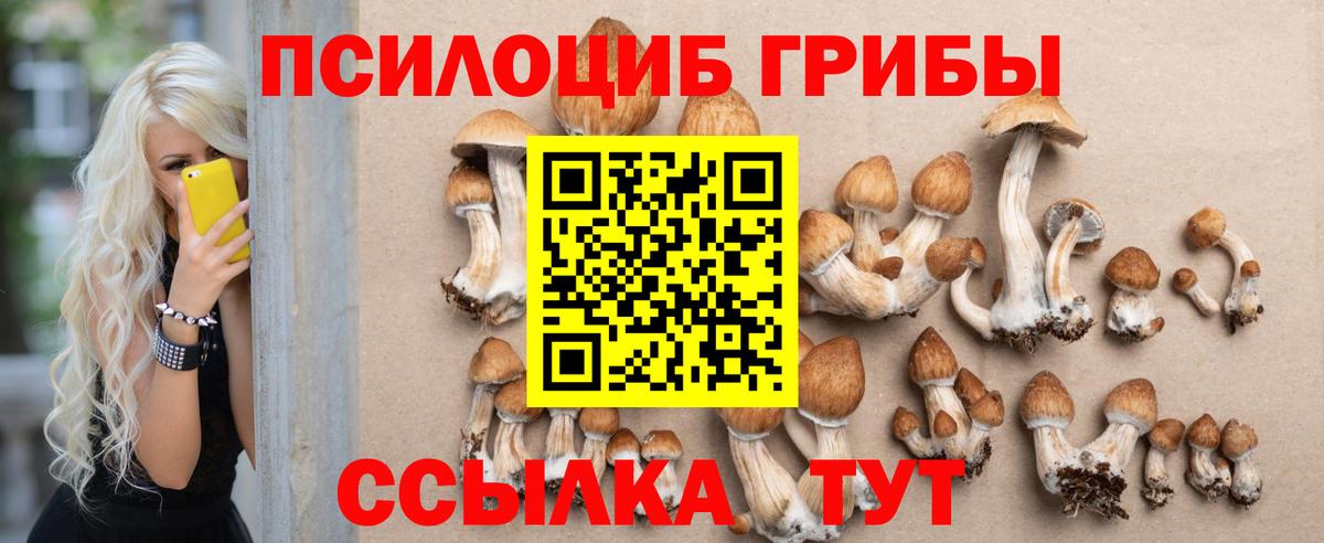 Галлюциногенные грибы MAGIC MUSHROOMS Миллерово