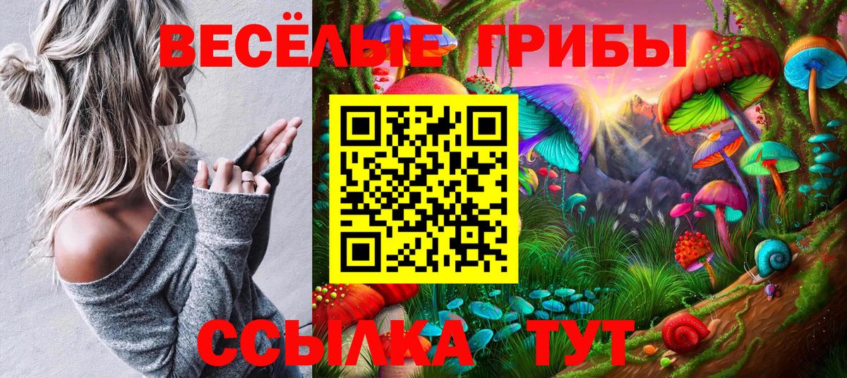 Псилоцибиновые грибы прущие грибы  Вход с VPN  Миллерово  что такое наркотик  Псилоцибиновые грибы прущие грибы 
